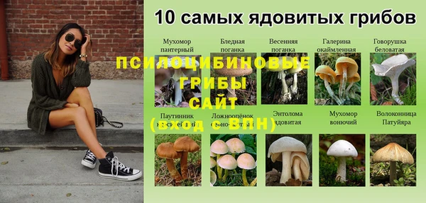 a pvp Алексин