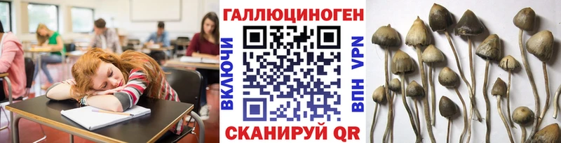 Псилоцибиновые грибы мицелий где купить наркотик Удачный